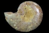 Sliced, Agatized Ammonite Fossil (Half) - Jurassic #100560-1